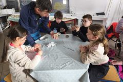 IMG_20260204_105026-1