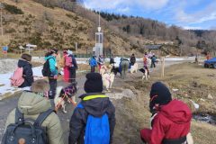 IMG_20260204_151705-1