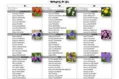 Repartition-des-groupes