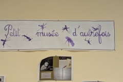 PXL_20260409_061640153