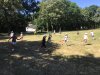IMG_7358
